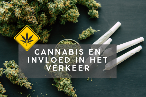 Cannabis en verkeer
